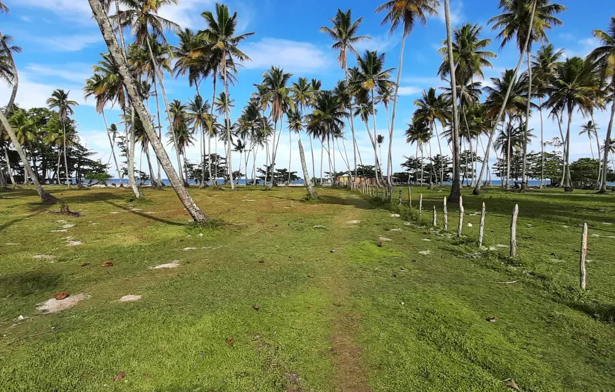 Imagem da galeria de Ilha de Boipeba